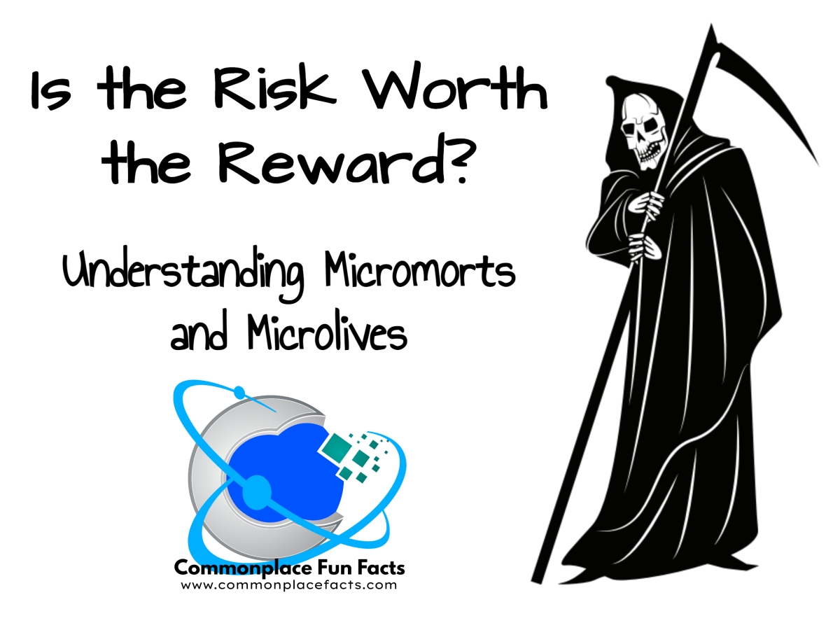 Is the Risk Worth the Reward? Understanding Micromorts and Microlives