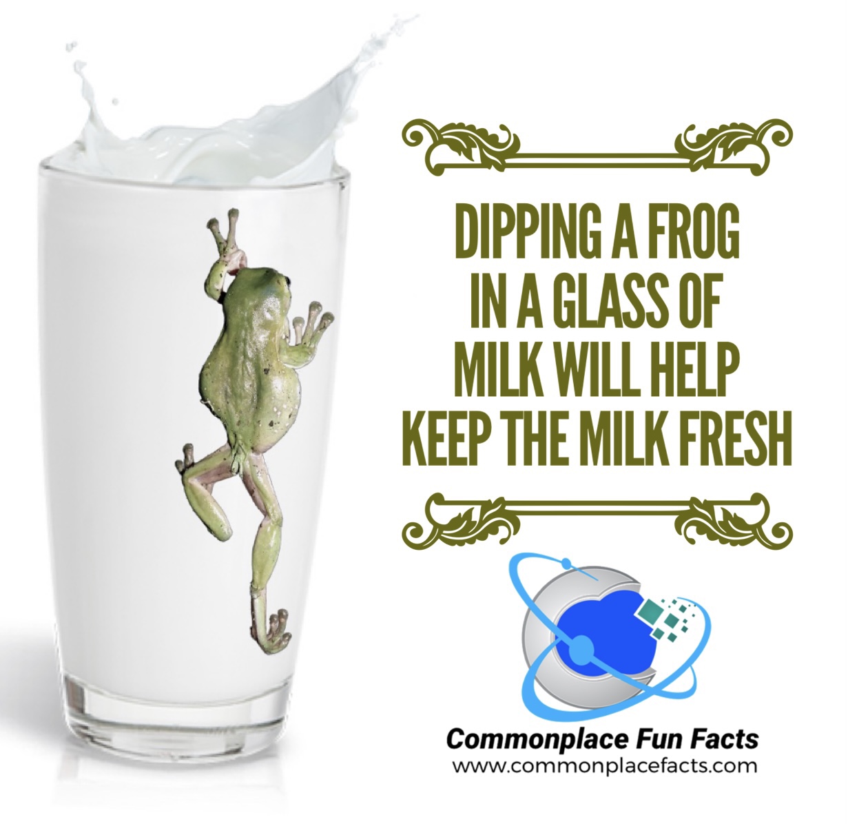 Keep Milk Fresh By Dipping Frogs