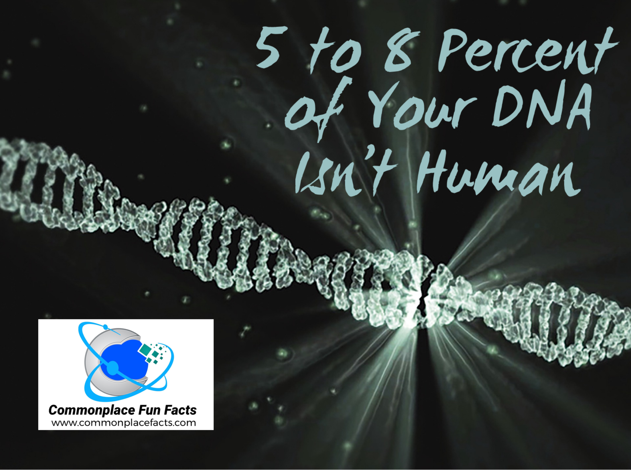5 to 8 Percent of Your DNA Isn’t Human 1 5-8% of your DNA isn’t human