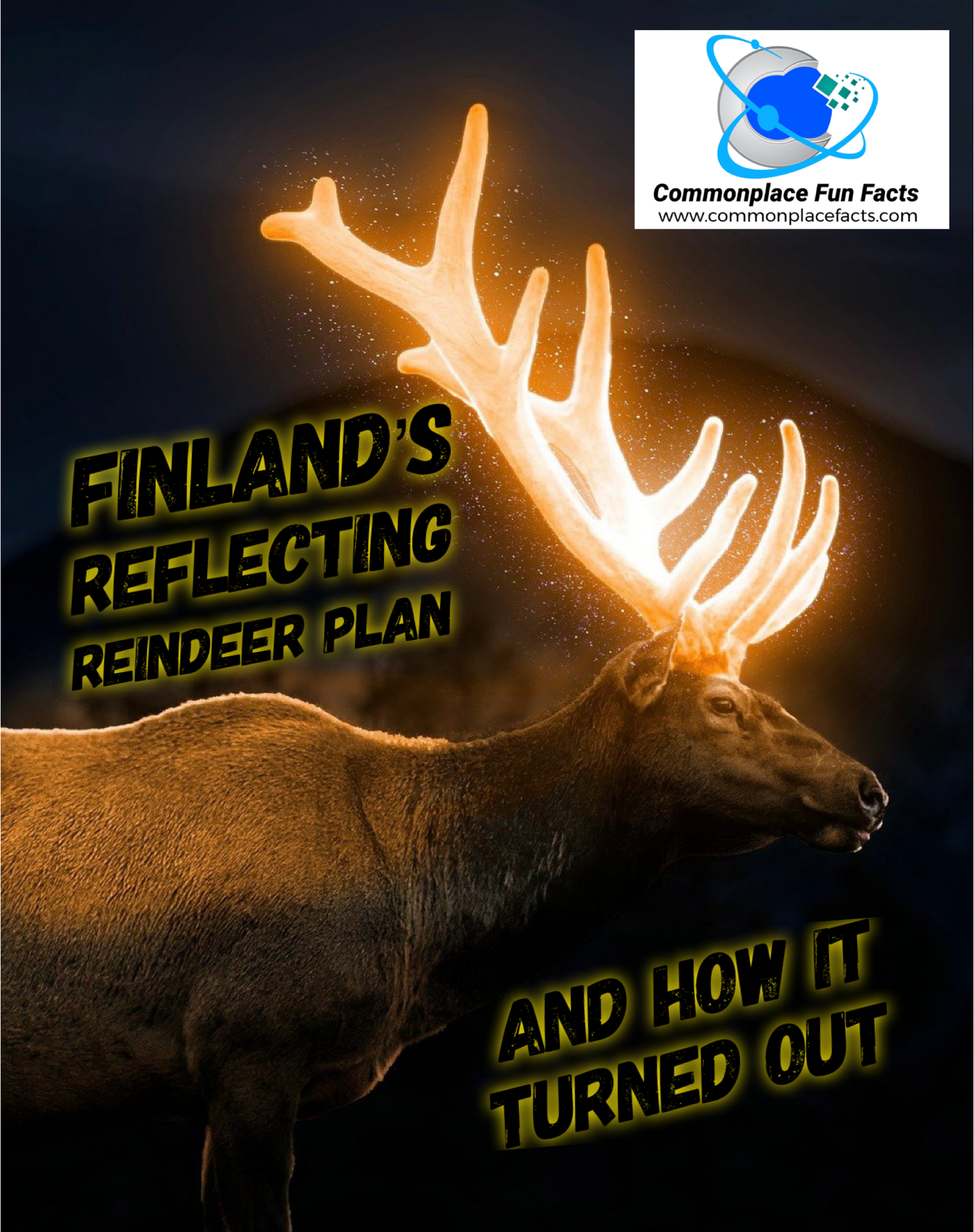 Finland’s Reflecting Reindeer Plan … And How It Turned Out