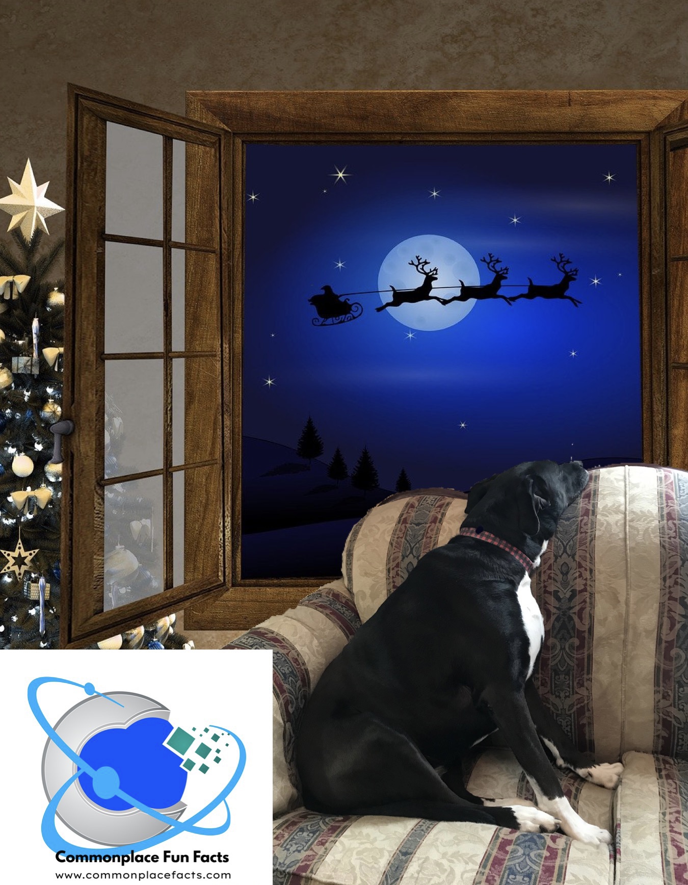 Merry Christmas! 1 img 4364