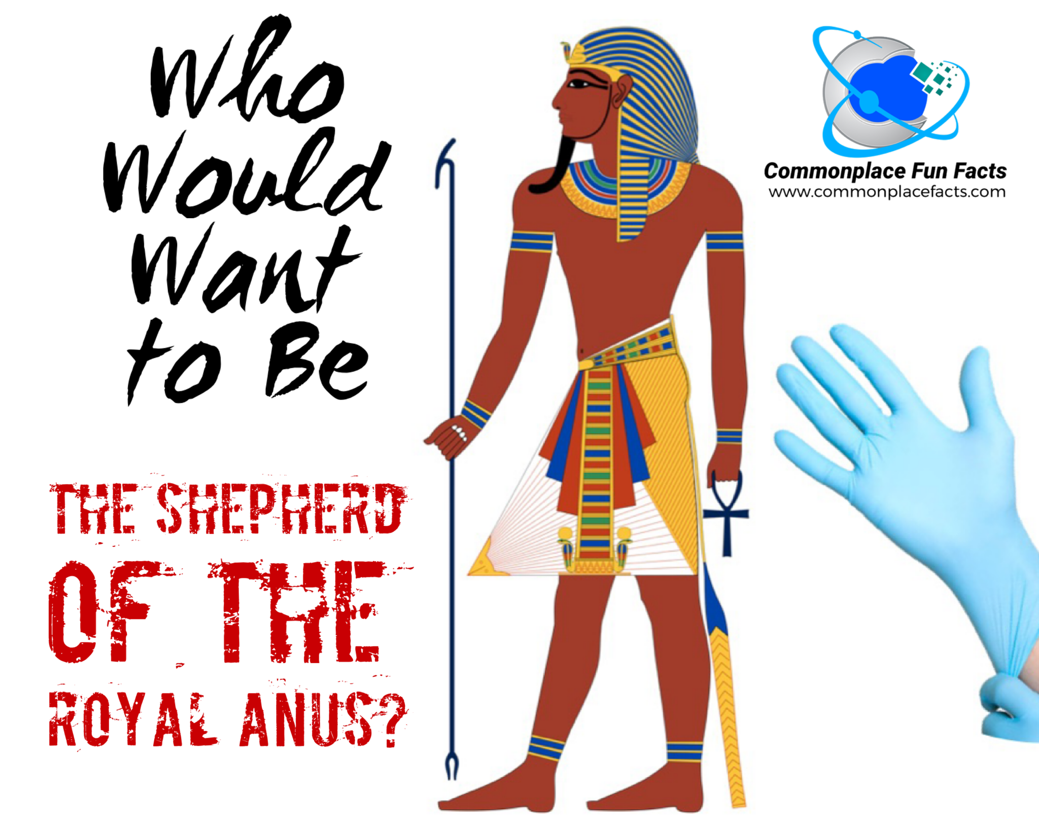 Who Would Want to Be the Shepherd of the Royal Anus?