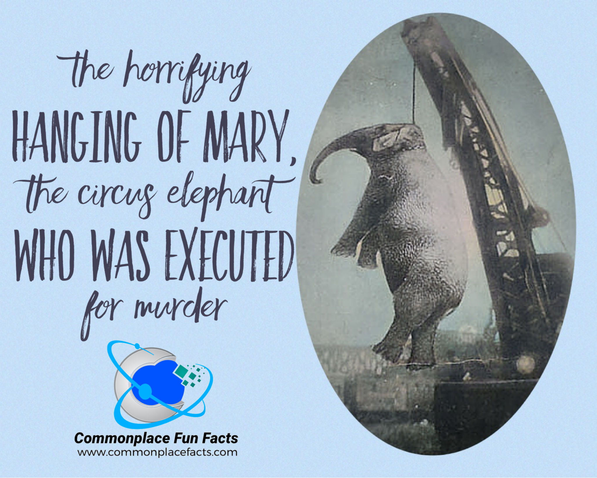 The Horrifying Hanging of Mary, the Circus Elephant Who Was Executed for Murder