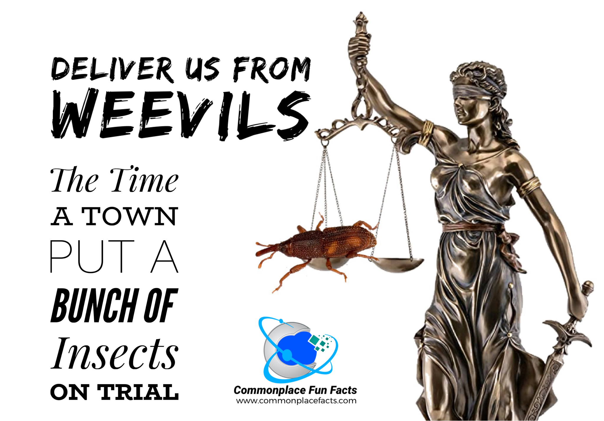 Deliver Us From Weevils — The Time a Town Put a Bunch of Insects on Trial