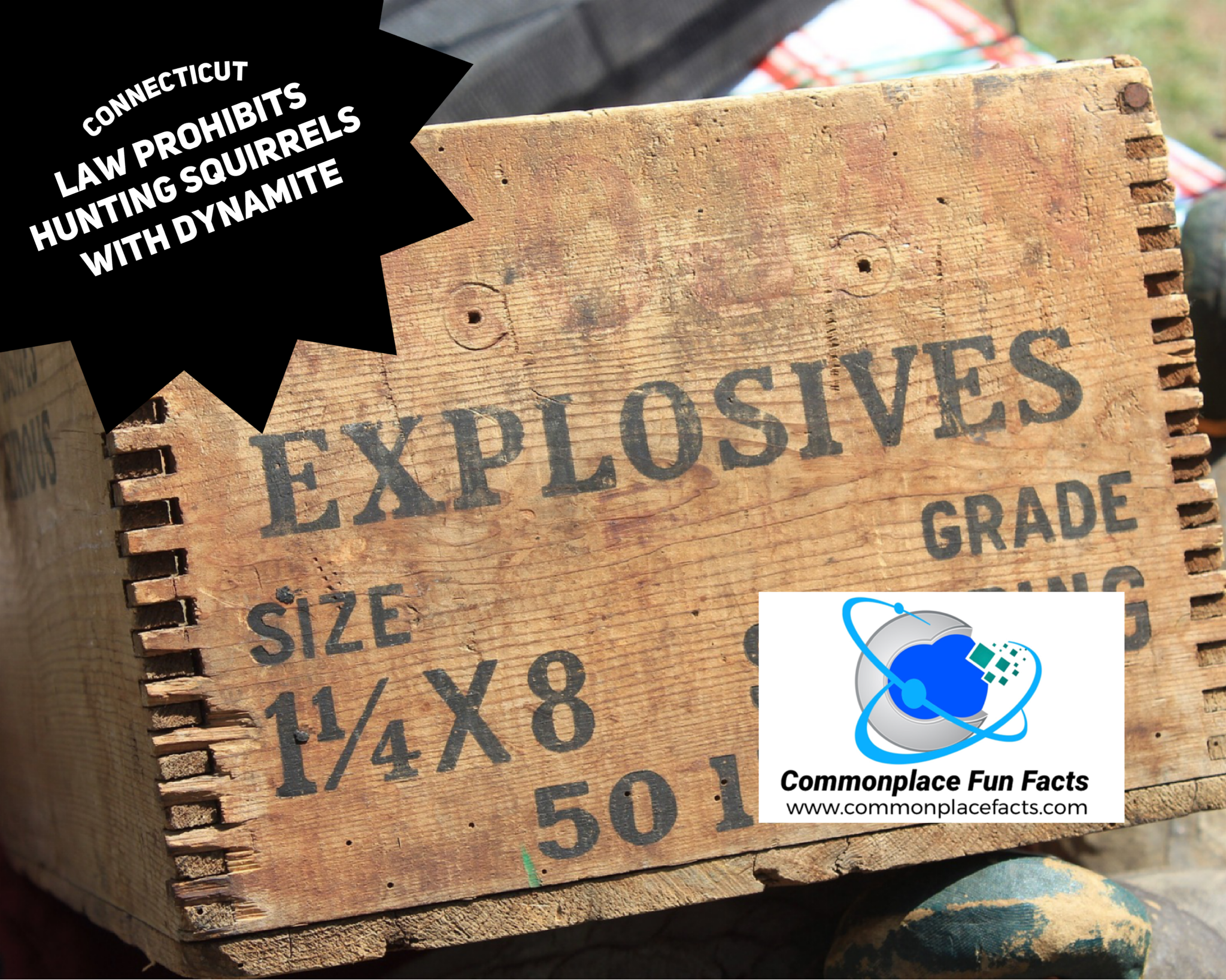 Put Down That Dynamite — This Squirrel is Protected