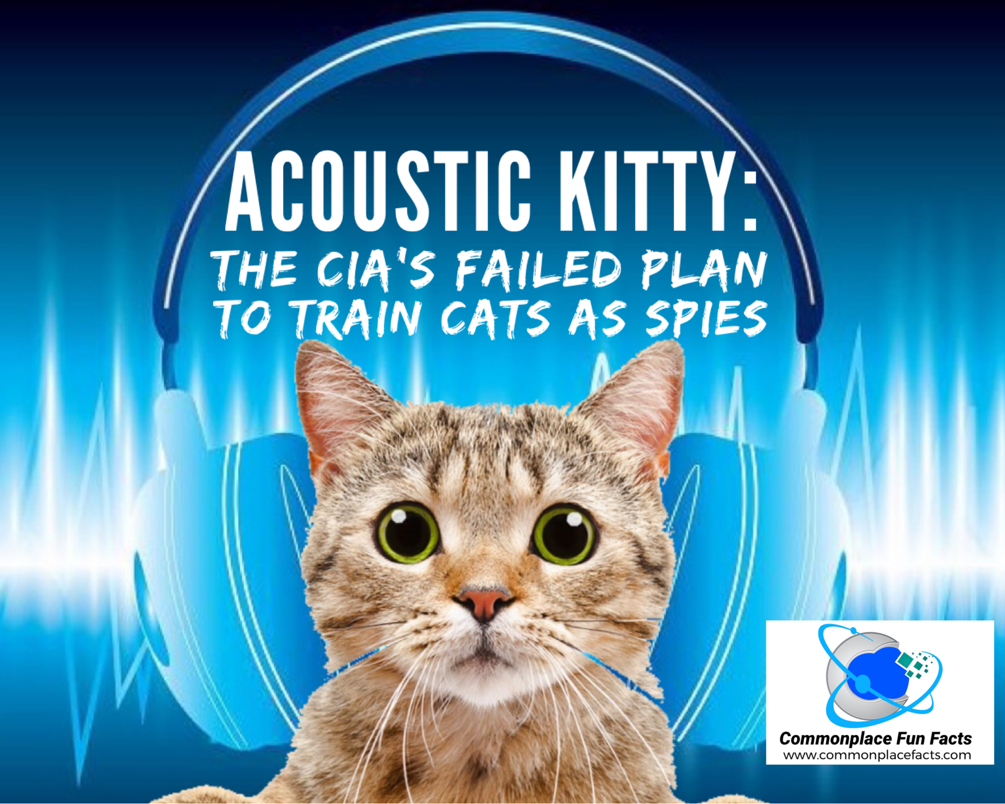 Acoustic Kitty: the CIA’s Failed Attempt to Train Cats as Spies