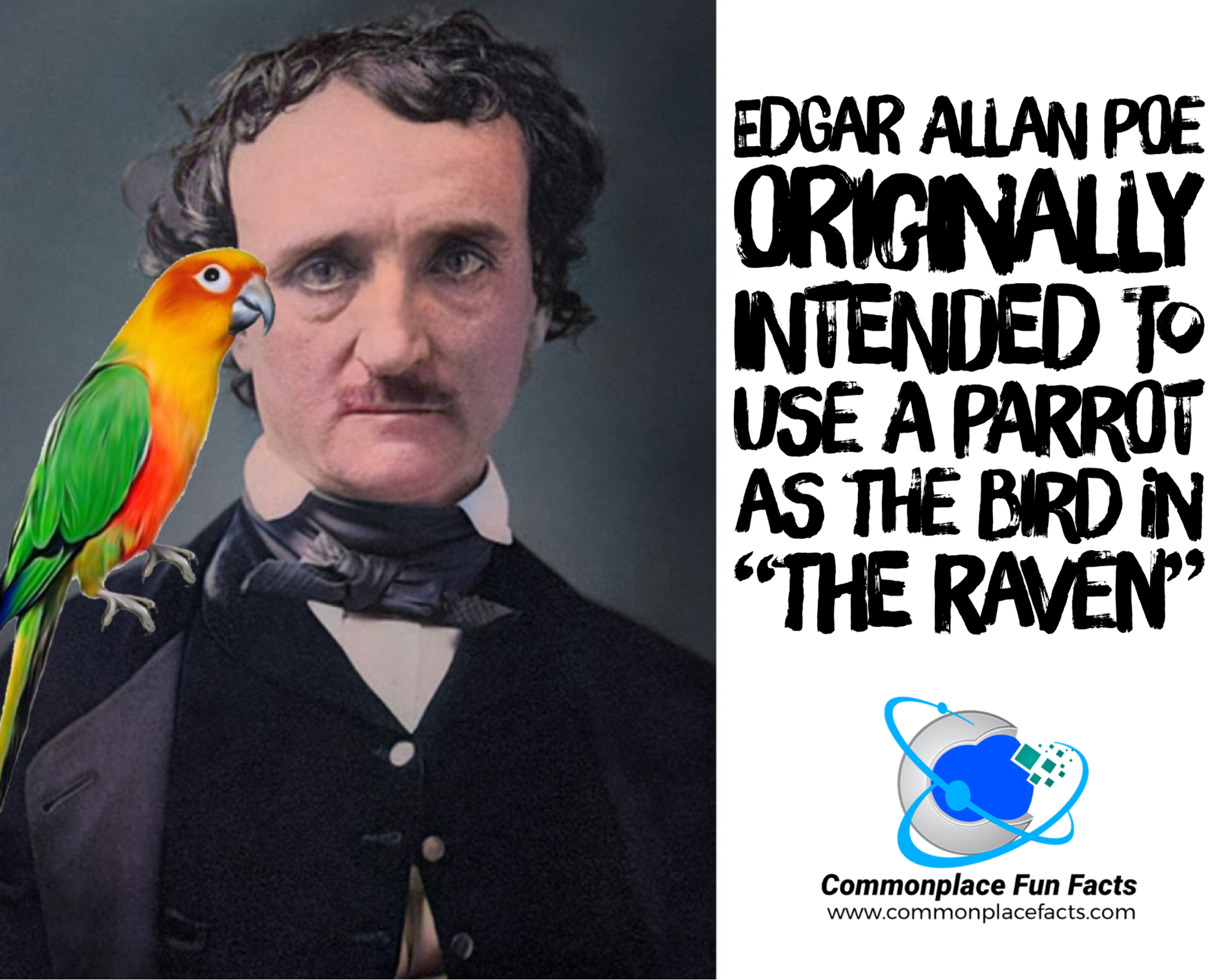 Quoth the Parrot, “Pretty Boy… Nevermore… Polly Got a Cracker? Nevermore…”