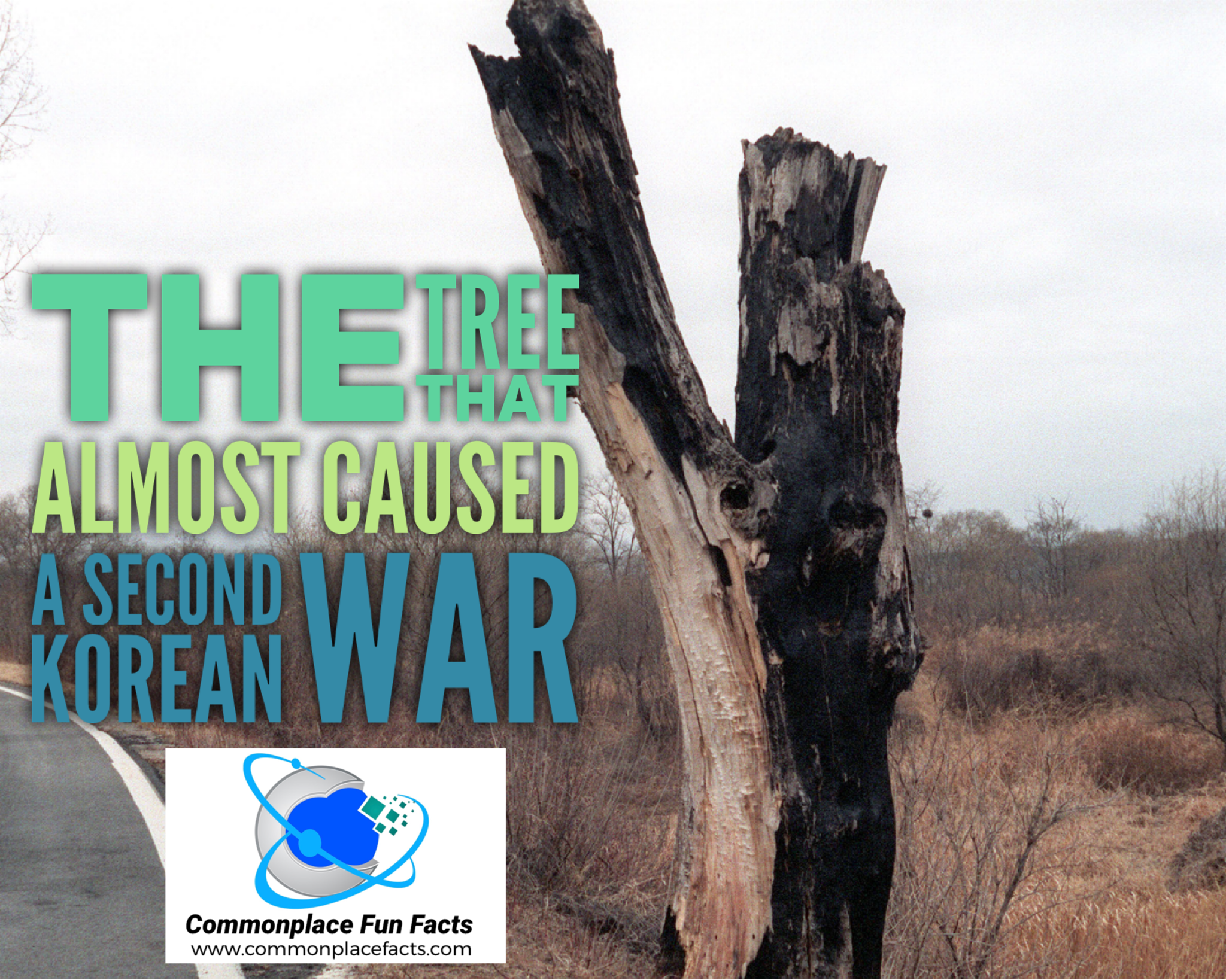 The Panmunjom Axe Murder Incident (1976): The Tree That Nearly Started a Second Korean War