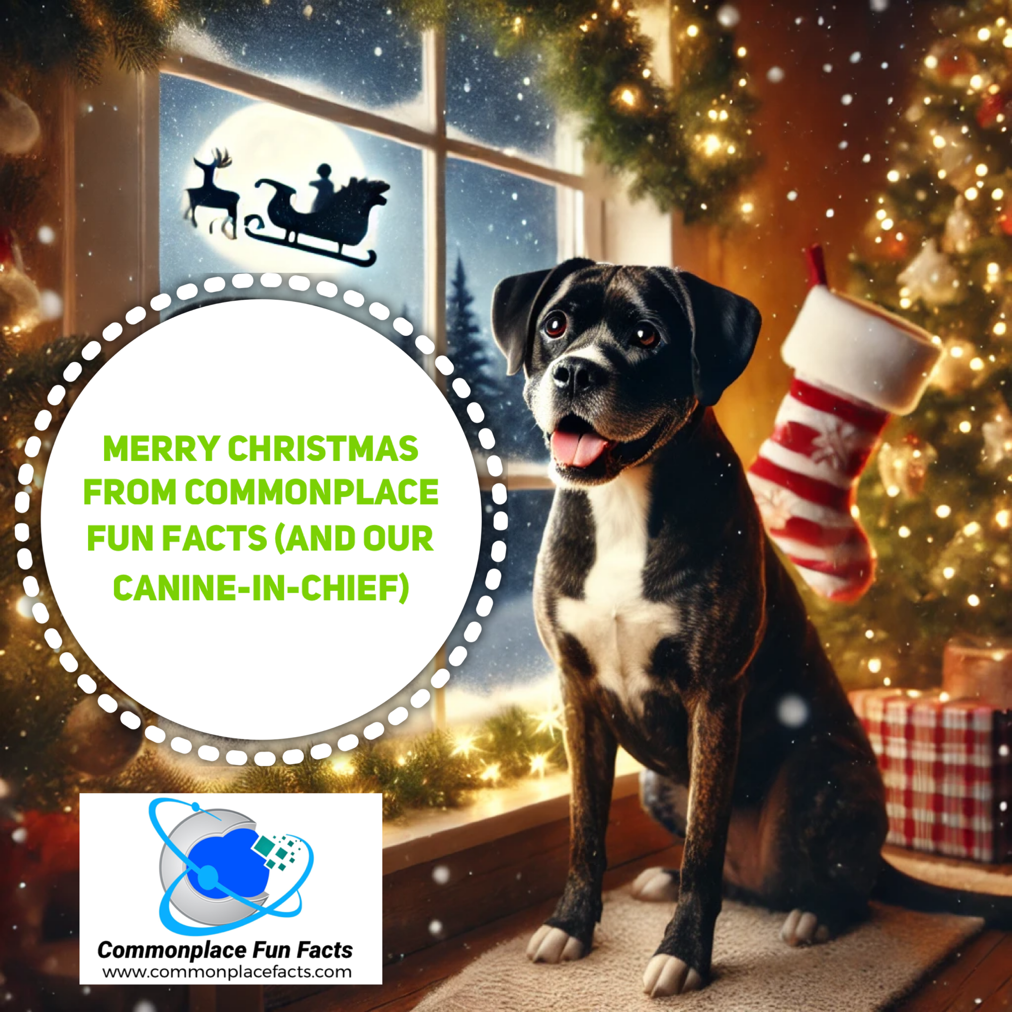 Merry Christmas From Commonplace Fun Facts (And Our Canine-in-Chief)