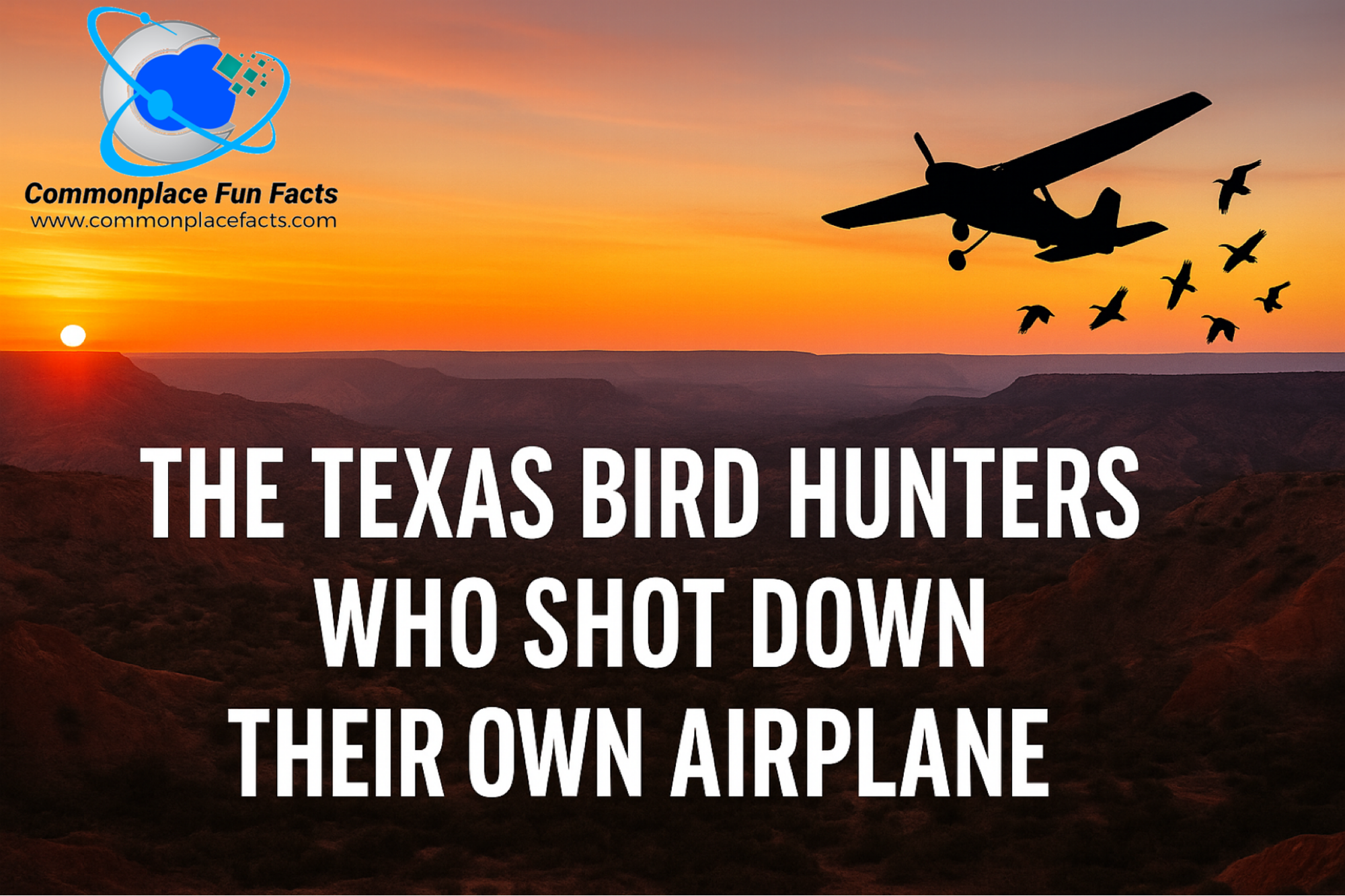 The Texas Bird Hunters Who Shot Down Their Own Airplane